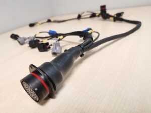 210043487_2781391232078606_4963450523220401889_n